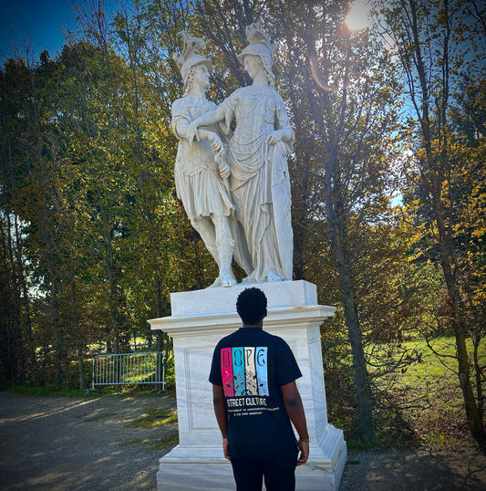 Renaissance Art Tsirt